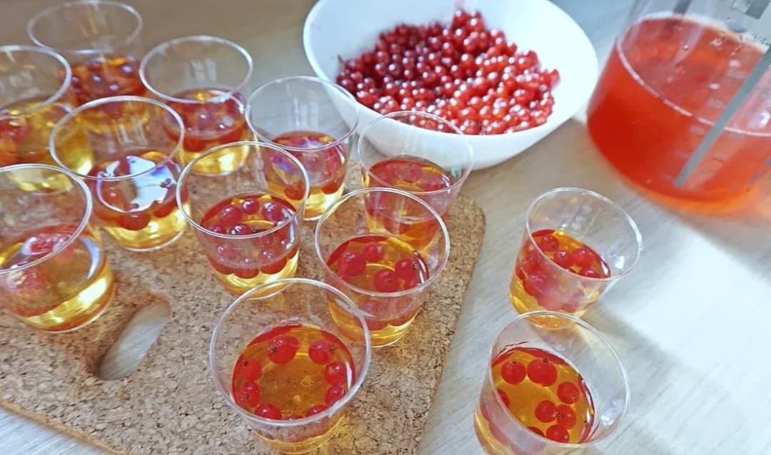 Deser z galaretki może być zdrową przekąską dla dzieci? 7 inspiracji