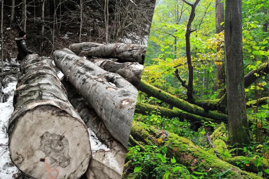 Nowe rozdania losu: 5 refleksji o powrotach i drugich szansach