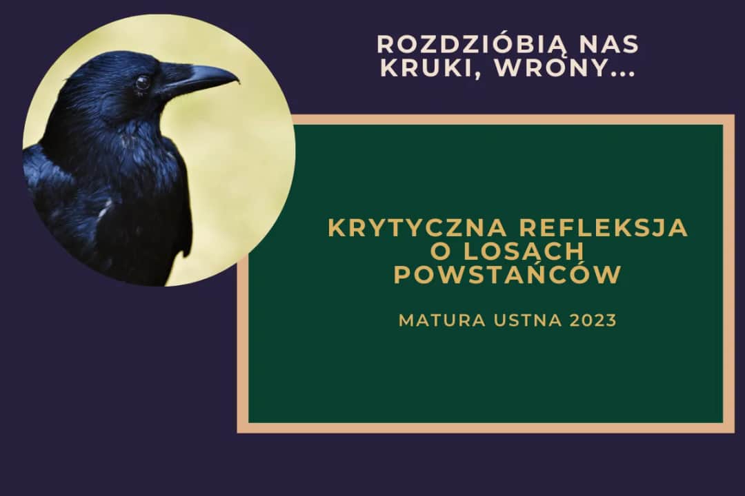 Kruk 1: Refleksje widza – mroczna fabuła, aktorstwo i kontrowersje.