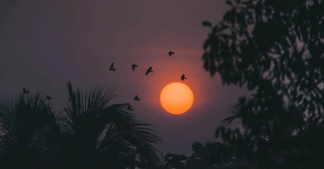 Życiowe drogowskazy: Cytaty o życiu, które niesamowicie wzruszają