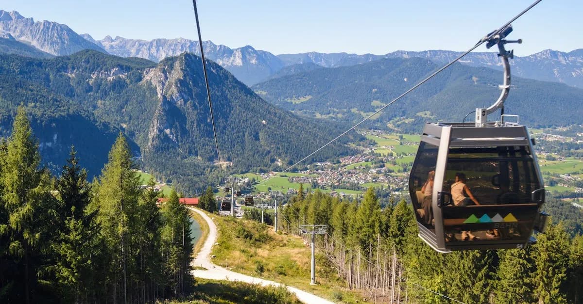 Jak filmy przyrodnicze zmieniają turystykę w Bieszczadach?