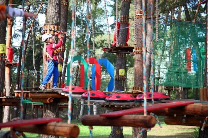 Czy Julinek park linowy to raj dla małych i dużych śmiałków?