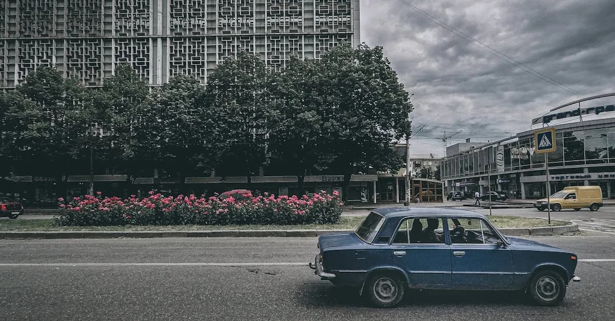 Jak Druga Aleja zmieniła postrzeganie przyrody miejskiej?